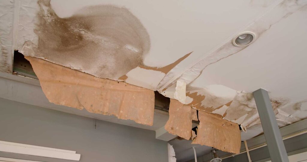 Sustainable Water Damage Repair Techniques: A How-To Guide